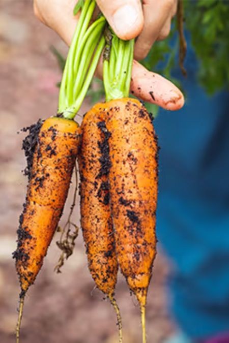 ingredients-de-qualite-hellofresh