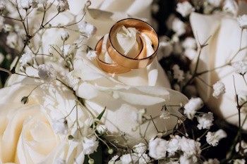 Alianzas de boda sobre flores blancas