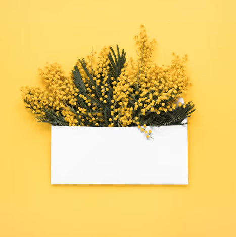 mimosas