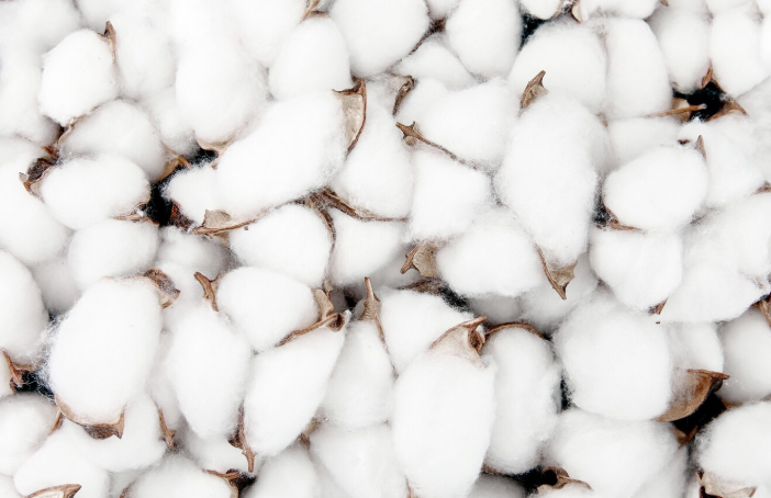 coton