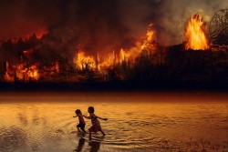 Foto dell'incendio in Amazzonia: c'è qualcosa che possiamo fare?