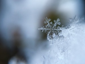 Cristallo di neve fotografato in settimana bianca