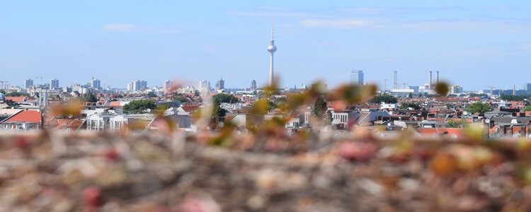 Buche Deine Stadtrundfahrt: Berlin günstig hautnah erleben