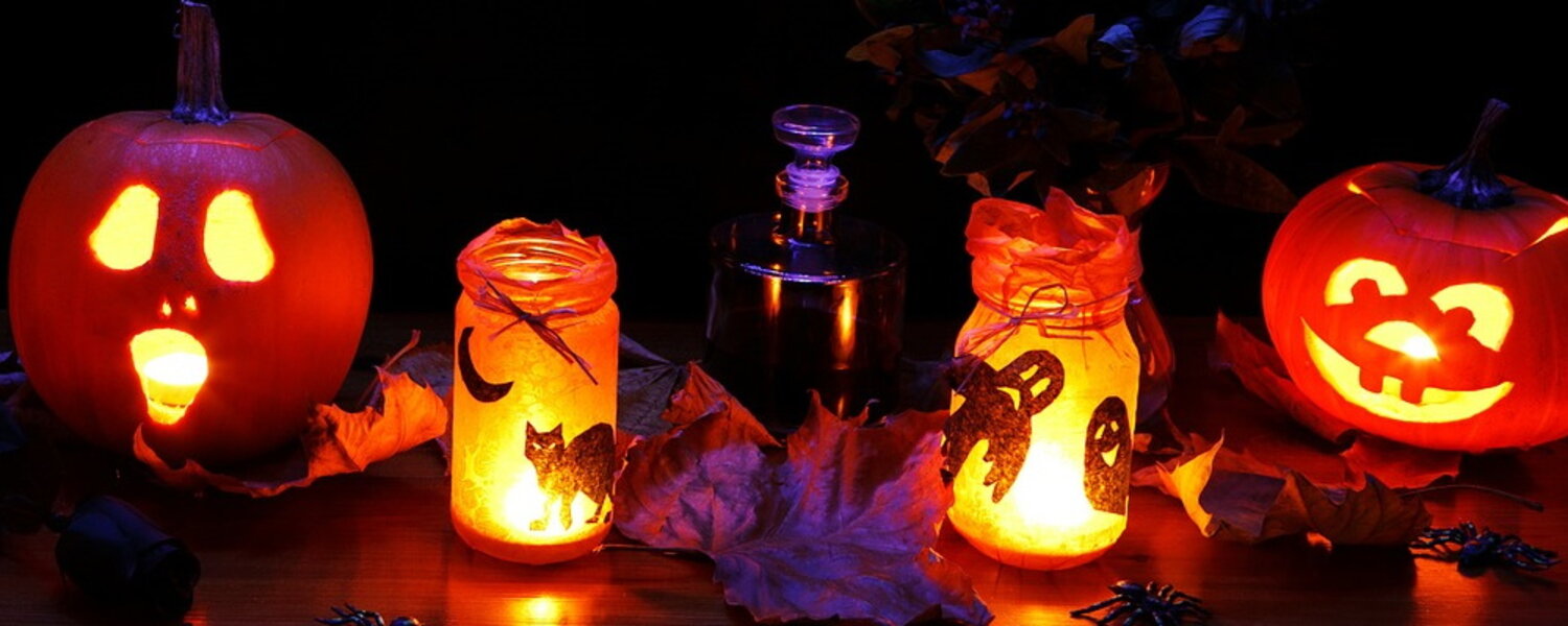 The Best Halloween Online Store Savings Shopping Guide BravoDeal