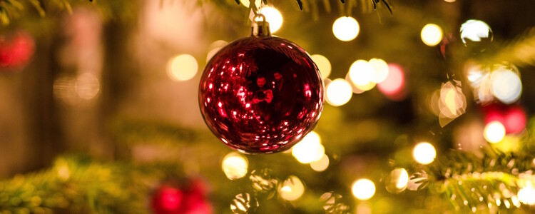 Deinen Weihnachtsbaum günstig kaufen - Wo & Wann?