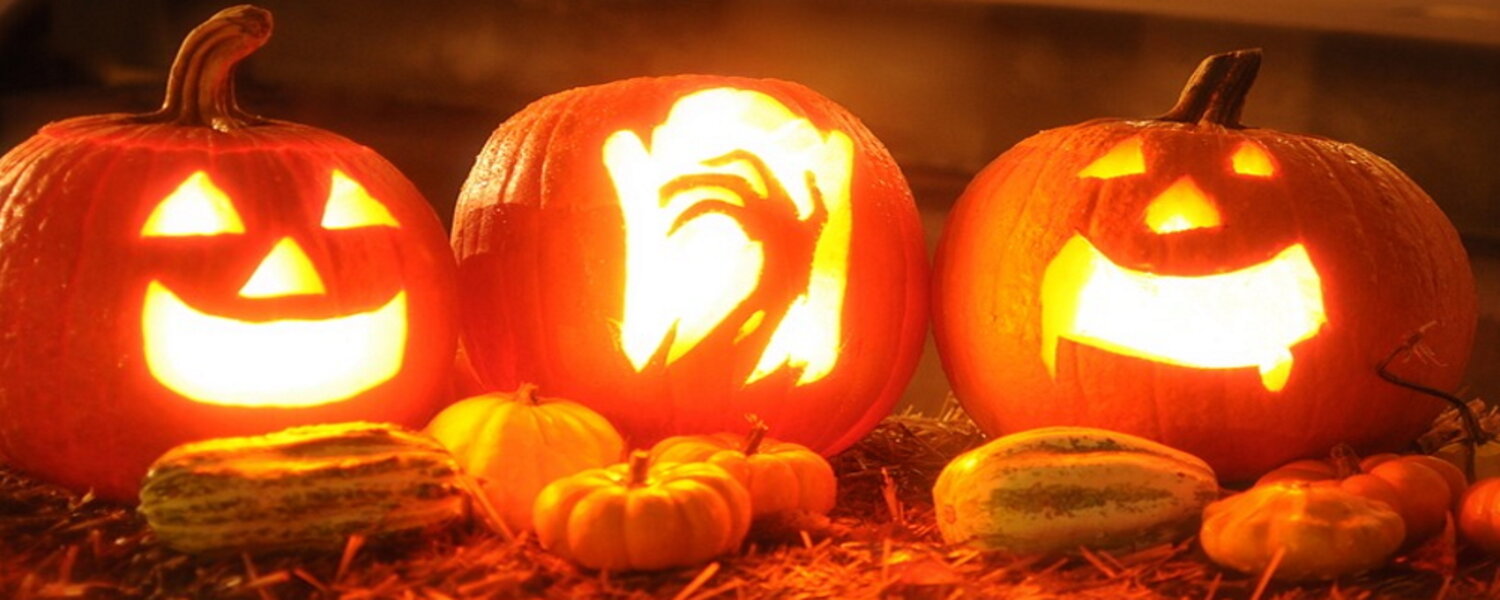 Trzy świecące dynie na Halloween z wyciętymi wzorami, otoczone małymi dyniami.