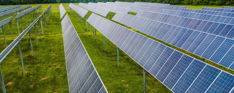 Todo sobre paneles fotovoltaicos y cómo ahorrar en energía solar