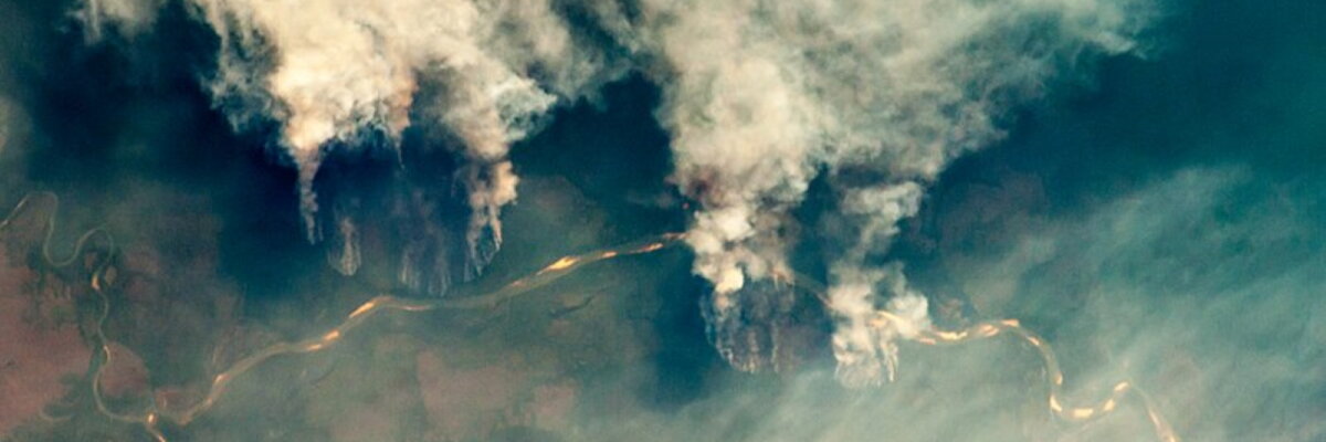 Brand im Amazonas-Regenwald: Eine Klimakatastrophe