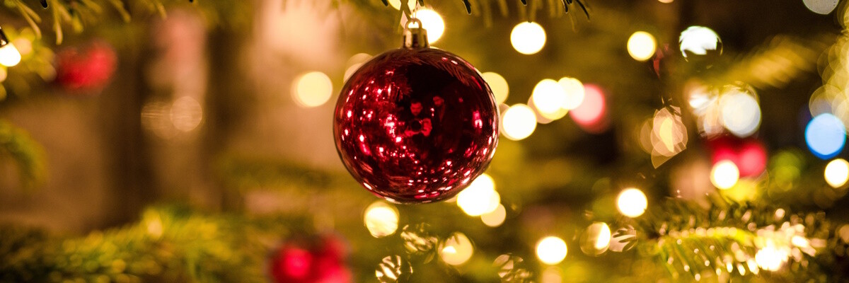 Deinen Weihnachtsbaum günstig kaufen - Wo & Wann?