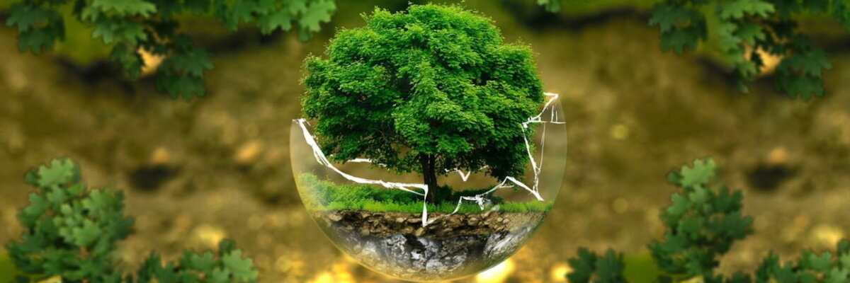 Green Friday 2019: para un consumo ecosostenible