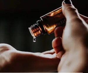 Arenal Perfumerias