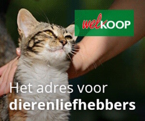 Welkoop