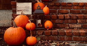 Autumn Savings