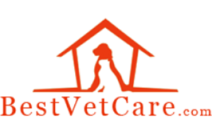 Best Vet Care