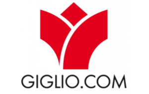 Giglio