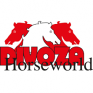 Divoza