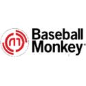 Baseball Monkey