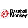 Baseball Monkey