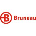 Bruneau (ex Viking)