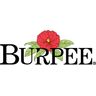 Burpee