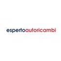 Esperto Autoricambi