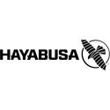 Hayabusa