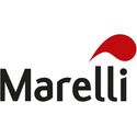 Marelli