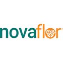 Nova Flor