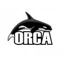 Orca Tauchreisen