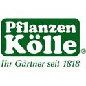 Pflanzen Kölle