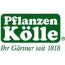 Pflanzen Kölle