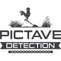 Pictave Détection
