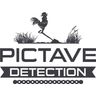 Pictave Détection