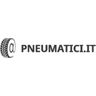 Pneumatici.it