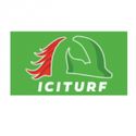 Pronostic Ici Turf
