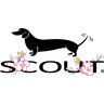 Scout Bags