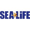 Sealife
