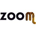 Zoom Torino