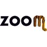 Zoom Torino