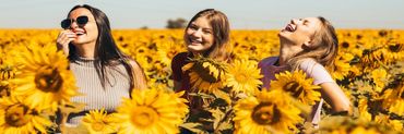 drei ausgelassen lachende Frauen in einem Sonnenblumenfeld