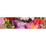 bloomon