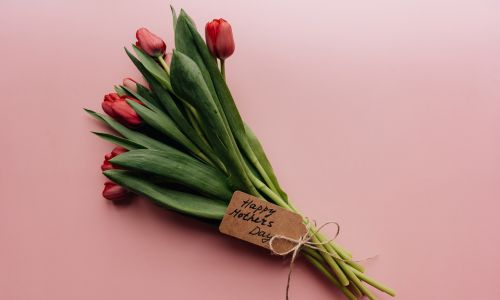Promoção flores Dia das Mães BravoCupom