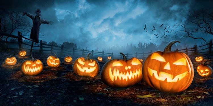 citrouilles de halloween en lanternes