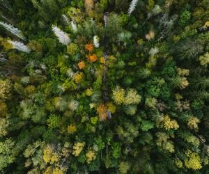 NatuRise