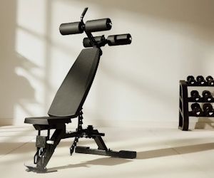 Major Fitness